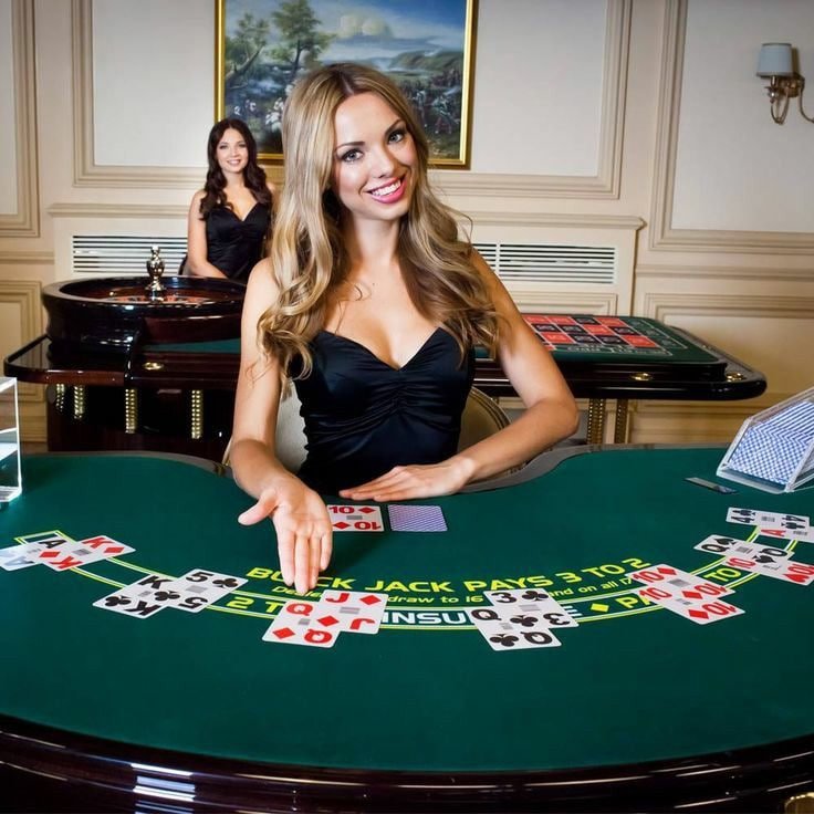 Casino-style games and live dealer tables available on bet 2026 platform